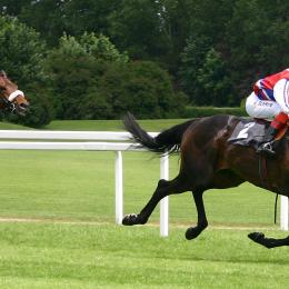 two horses racing with jockeys