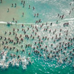 swimmers in the ocean